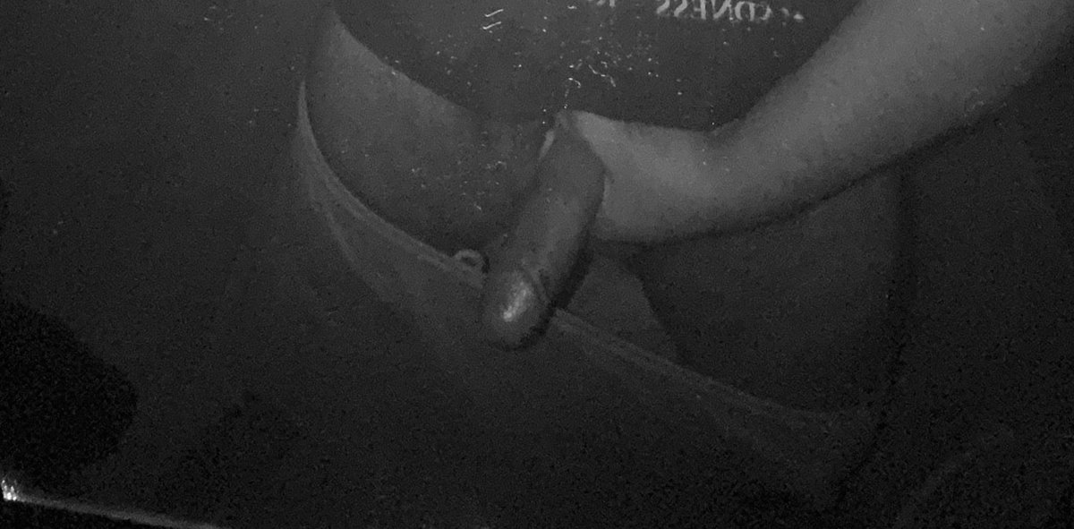 Que ganas de tener una #putiesposá para meterle la verga en la boca hasta el fondo y no parar hasta que este satisfecho🔥🍆💦🤤
(🚫gay 🚫ni hombres bisexuales 🤷🏽‍♂️)
#zamora #michoacan #WhatsApp #corneador #putiesposaMexico