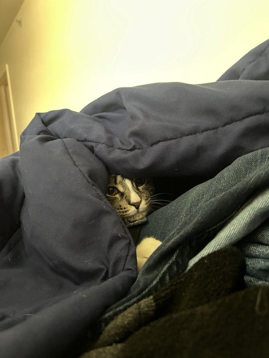 type of stuff i’m on lately