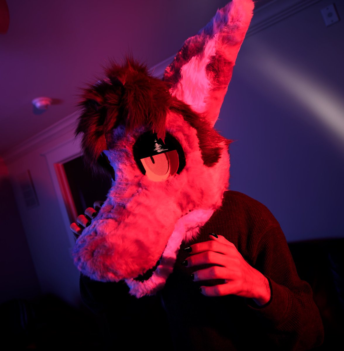 ThatGroovyBoot's tweet photo. Groovy…

#furry #fursuit https://t.co/V6h6raLx6X