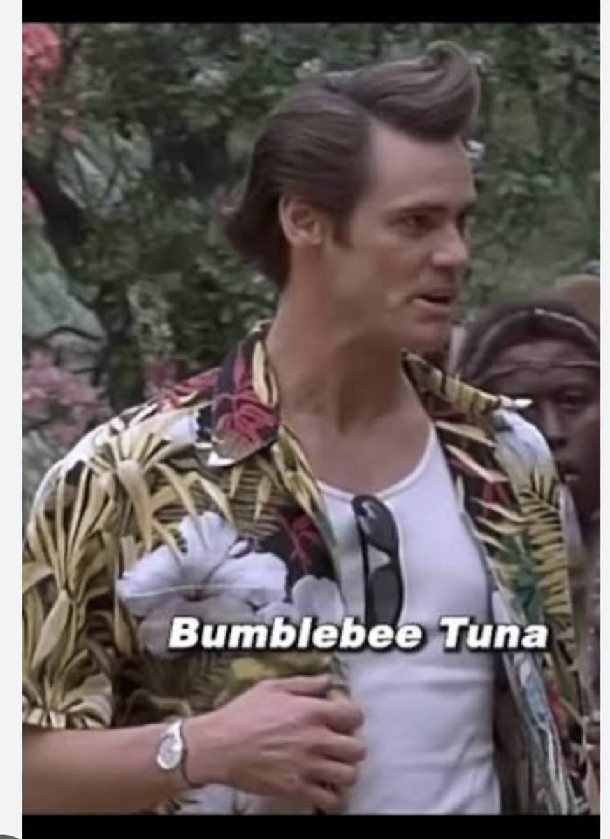 Shredderhead tweet media