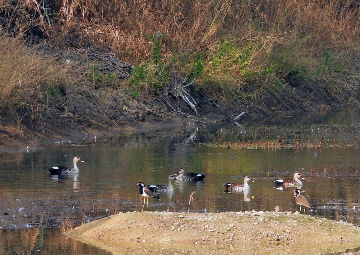 IIT Hyderabad tweet media