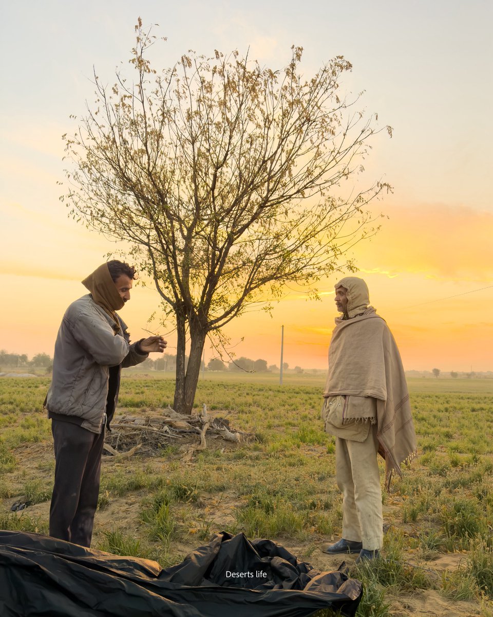 DesertsLife's tweet photo. 30 दिन बीत गए, पर मोहनगढ़ (जीरो RD) के खेतों तक पानी नहीं पहुँचा।
नहर का पानी नहीं, किसानों का भरोसा मर रहा है। खेत सूख रहे हैं, फसलें आँखों के सामने दम तोड़ रही हैं। क्या जैसलमेर के किस��न का कोई हक नहीं?
@BhajanlalBjp @TikaRamJullyINC @SureshRawatBjp @CRPaatil @JaisalmerDist https://t.co/09vwxlRkW0