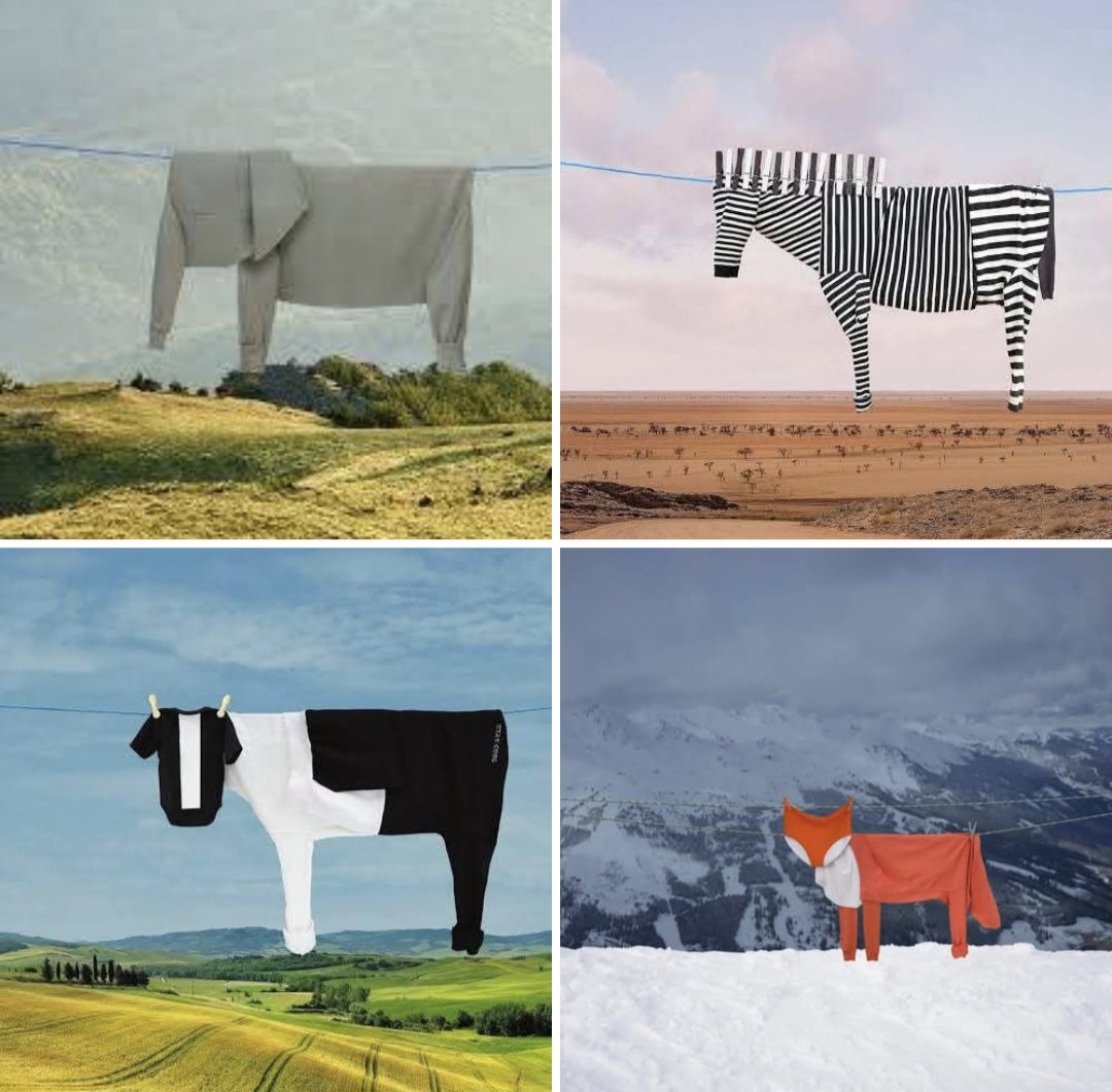 More of artist Helga Stentzel's fun clothesline  creatures #WomensArt #Monday