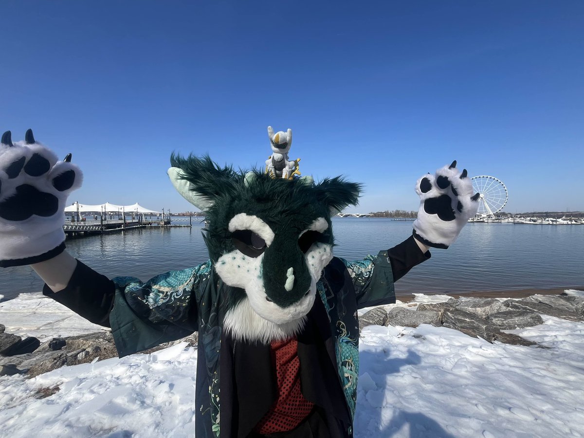 aShadowo tweet media