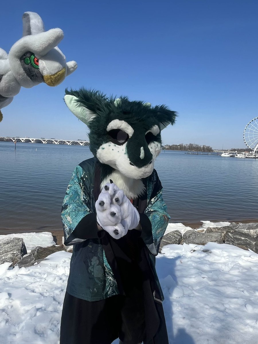 aShadowo tweet media