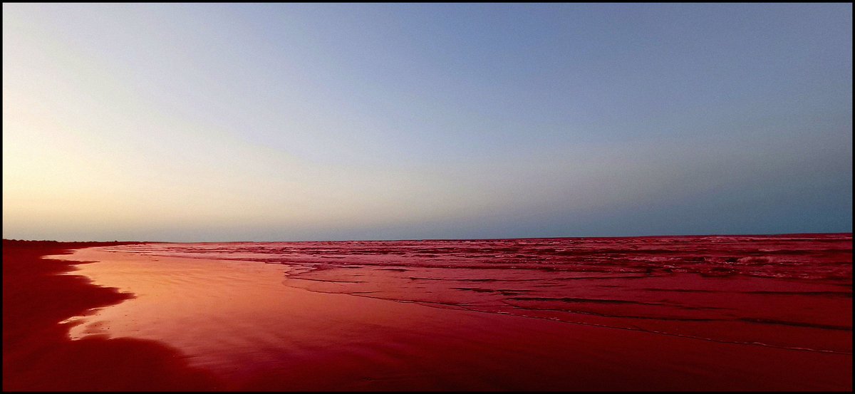 Reza1990Elmi's tweet photo. Crimson Sorrow.
#IranMassacre #YoungBlood #UsThem https://t.co/RZryyxHxp0