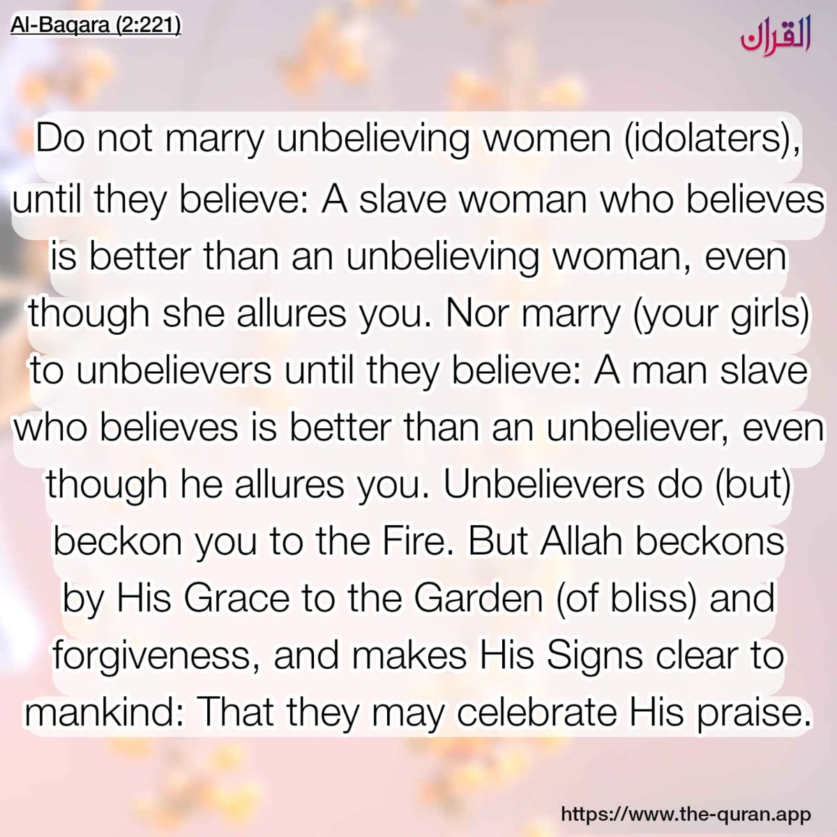 <a href="/Context2X/">CONTEXT VIDEOS</a> <a href="/elonmusk/">Elon Musk</a> sowell and elon are LIARS! Islam was freeing slaves 1 500 years ago. Islam encouraged marrying slaves, men /women and give them their freedom and dignity.  Why do the kaffiroon love to speak lies? Is it because they love to eat pig and drink alcohol? Must be!