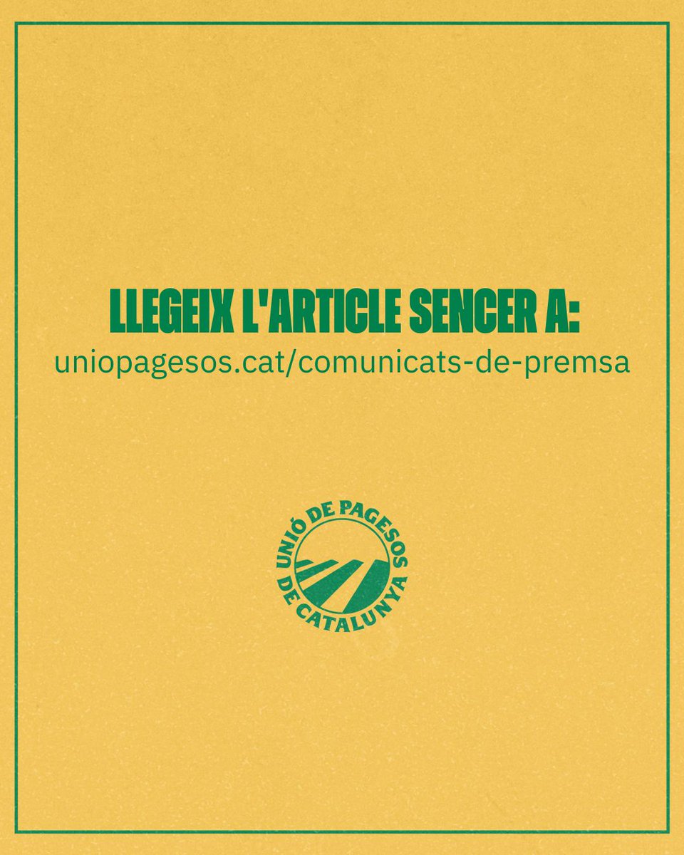 "No s’ha reconegut el treball de moltes pageses i, si són vídues, se les deixa en la mateixa precarietat i més despeses. Sense pageses amb drets no hi ha pagesia possible!"

✍️OPINÓ d'Ester Andreu, de Dones d'<a href="/uniopagesos/">Unió de Pagesos</a> 
Article sencer ➡️ bit.ly/4aS6M5v