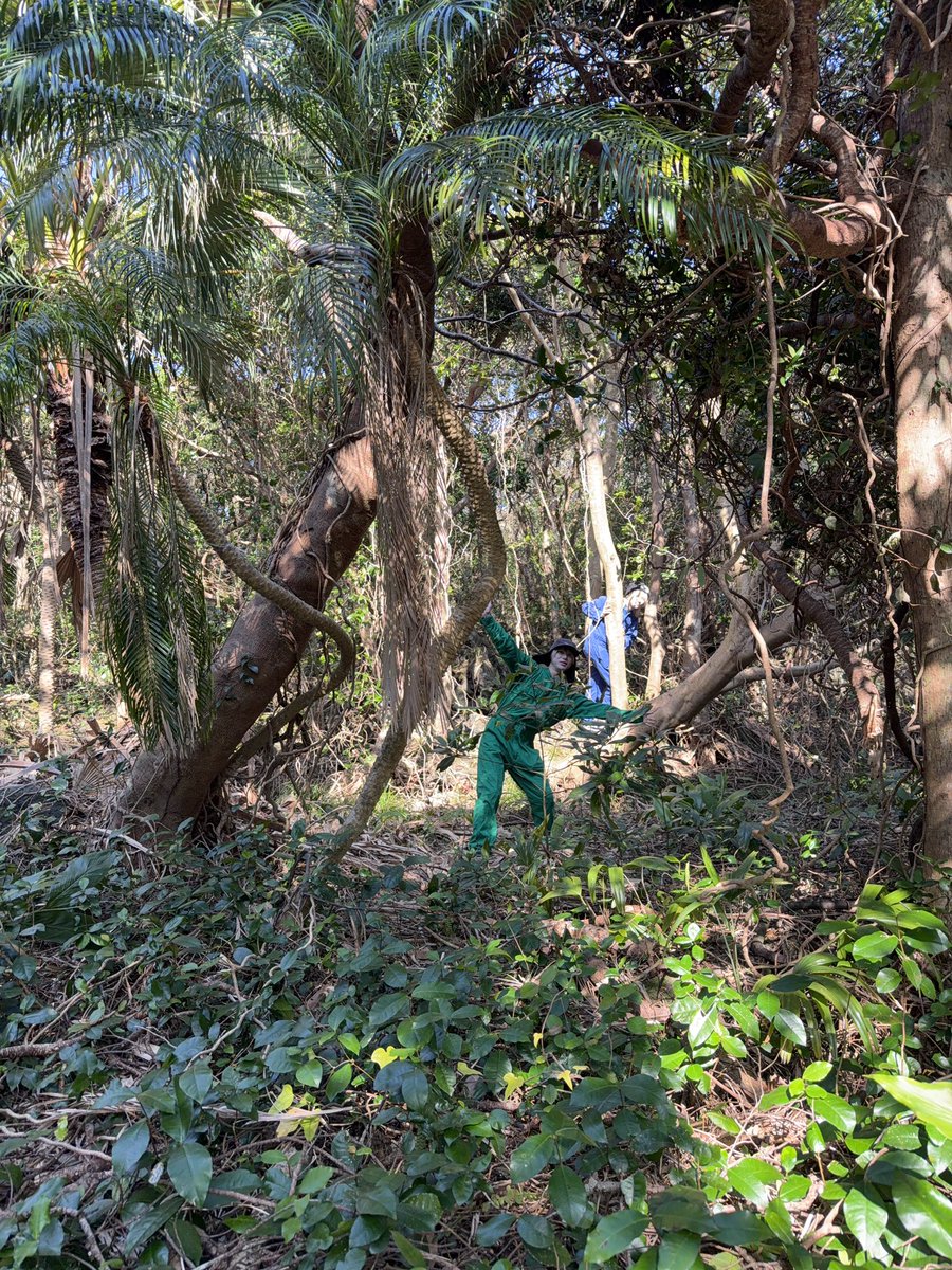 たいま tweet media