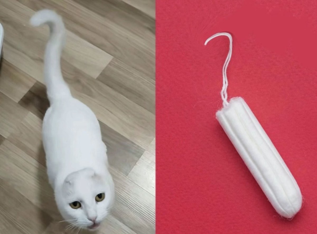 Blood-Step tweet media