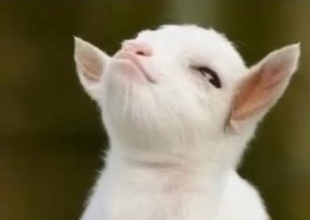 Some relationships don’t end because of cheating.
They end because one person gets tired of raising someone else’s son emotionally.