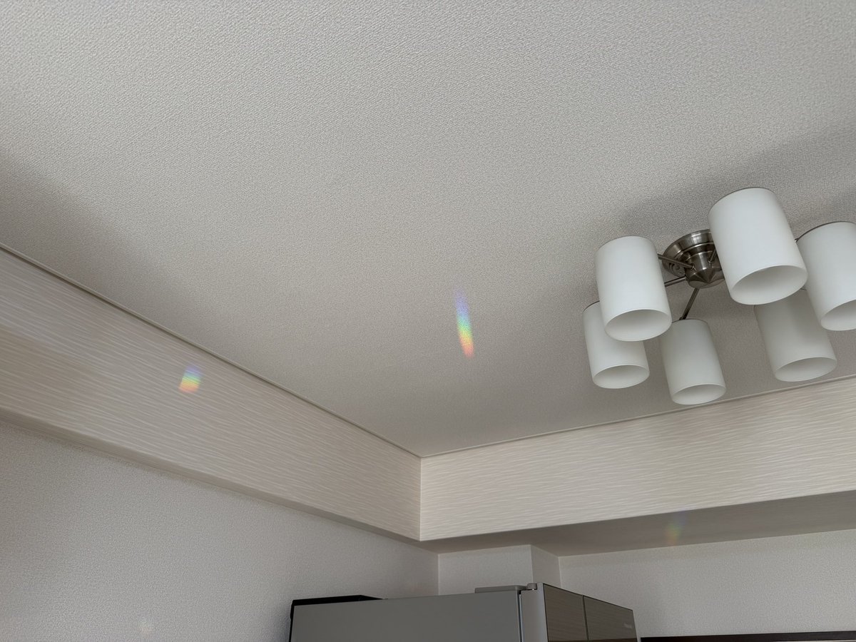 light_matsuko's tweet image. 午後活な私😌西の陽の当たりはｷﾂｲけどｻﾝｷｬｯﾁｬｰやｶﾞﾗｽ置物の反射が部屋中に広がるのがお気に入り✨水中に小さな熱帯魚が泳ぐような空間で暖かいｺｺｱと癒し時間を満喫💝

と、囁きｳﾞｫｲｽのVlog女子を
真似たで🍌
#意識高い系
#vlogger