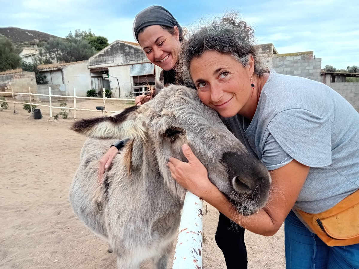 A CAPITANA IL CICLONE HENRY E IL MAESTRALE  DISTRUGGONO IL MANEGGIO DELLA COLLINA: LA RACCOLTA FONDI PER RIDARE VITA  ALL’OFFICINA EQUESTRE DI ALBA FOIS
di Veronica Matta
tottusinpari.it/2026/02/16/a-c…