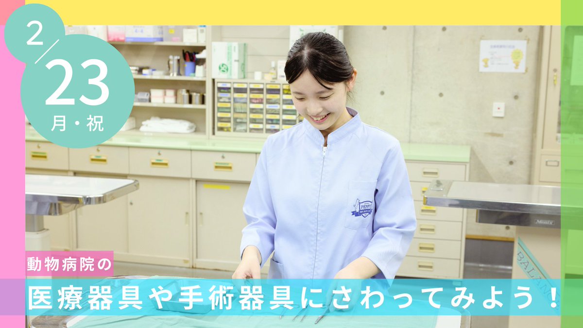 peppykango's tweet photo. 【さわってみよう！】
オープンキャンパスで動物病院の医療器具や手術器具に楽しくさわってみよう✨ https://t.co/N3Y50pEUED