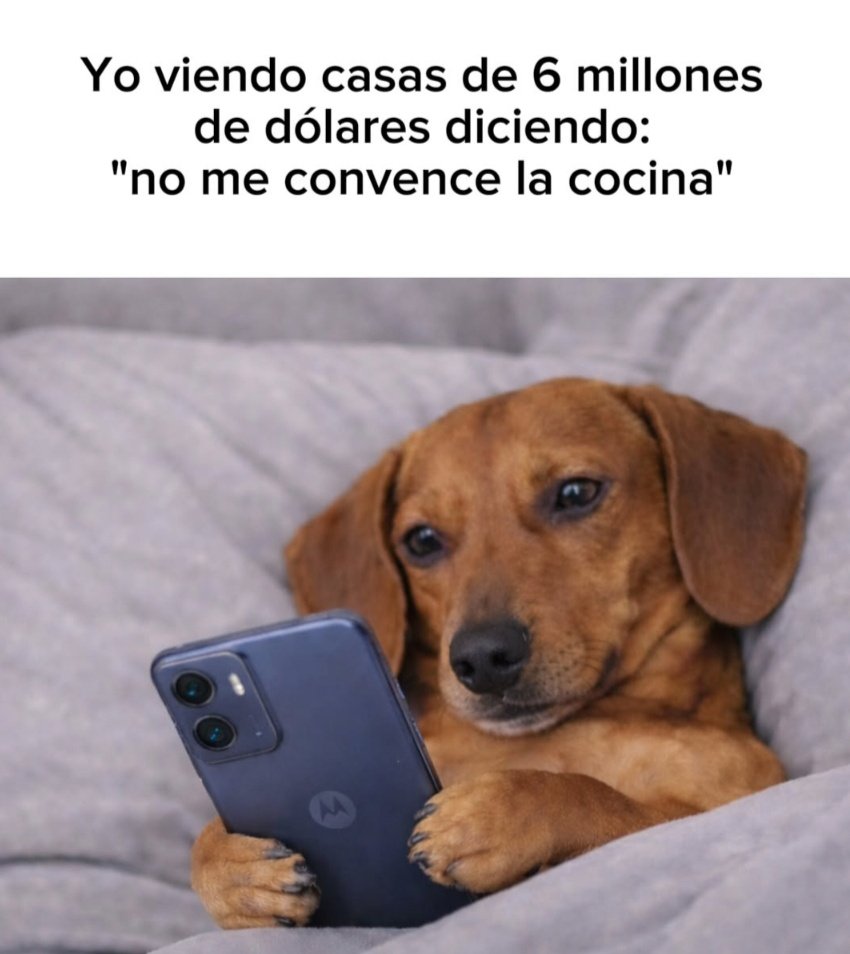 Ana_LaPatata (@ymuchosmemes) on Twitter photo 