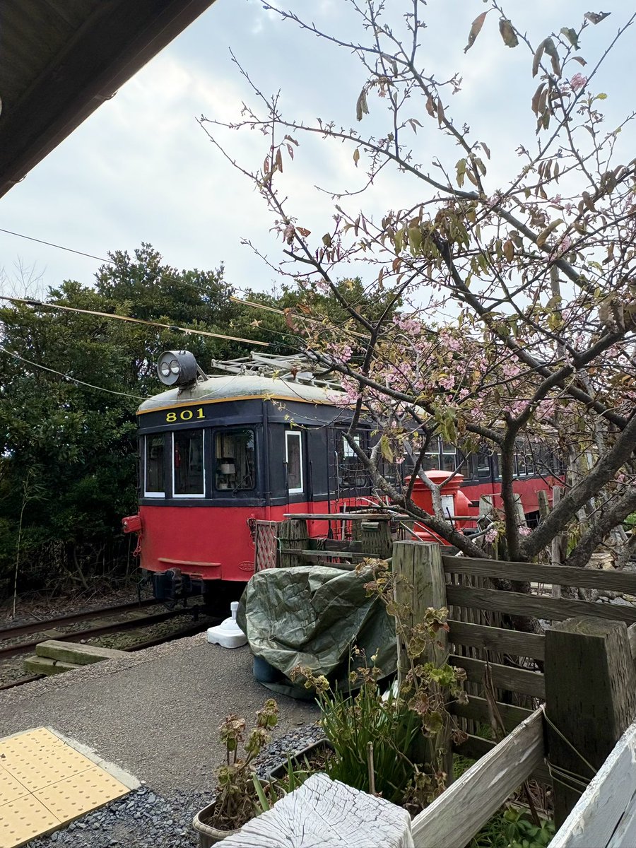 じょん🐥⸒⸒ tweet media