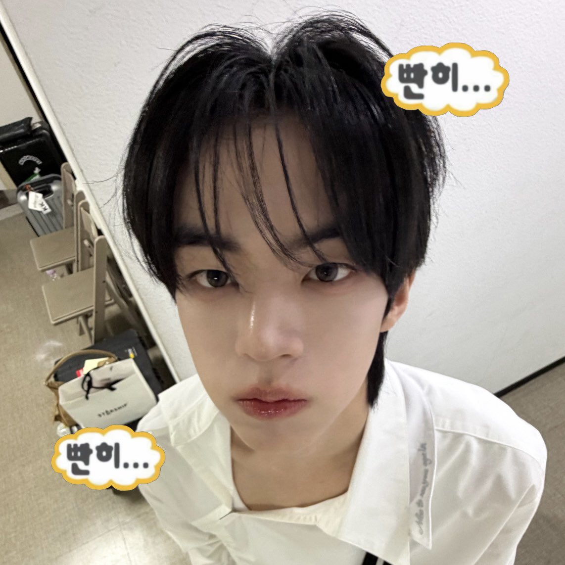 감자 tweet media