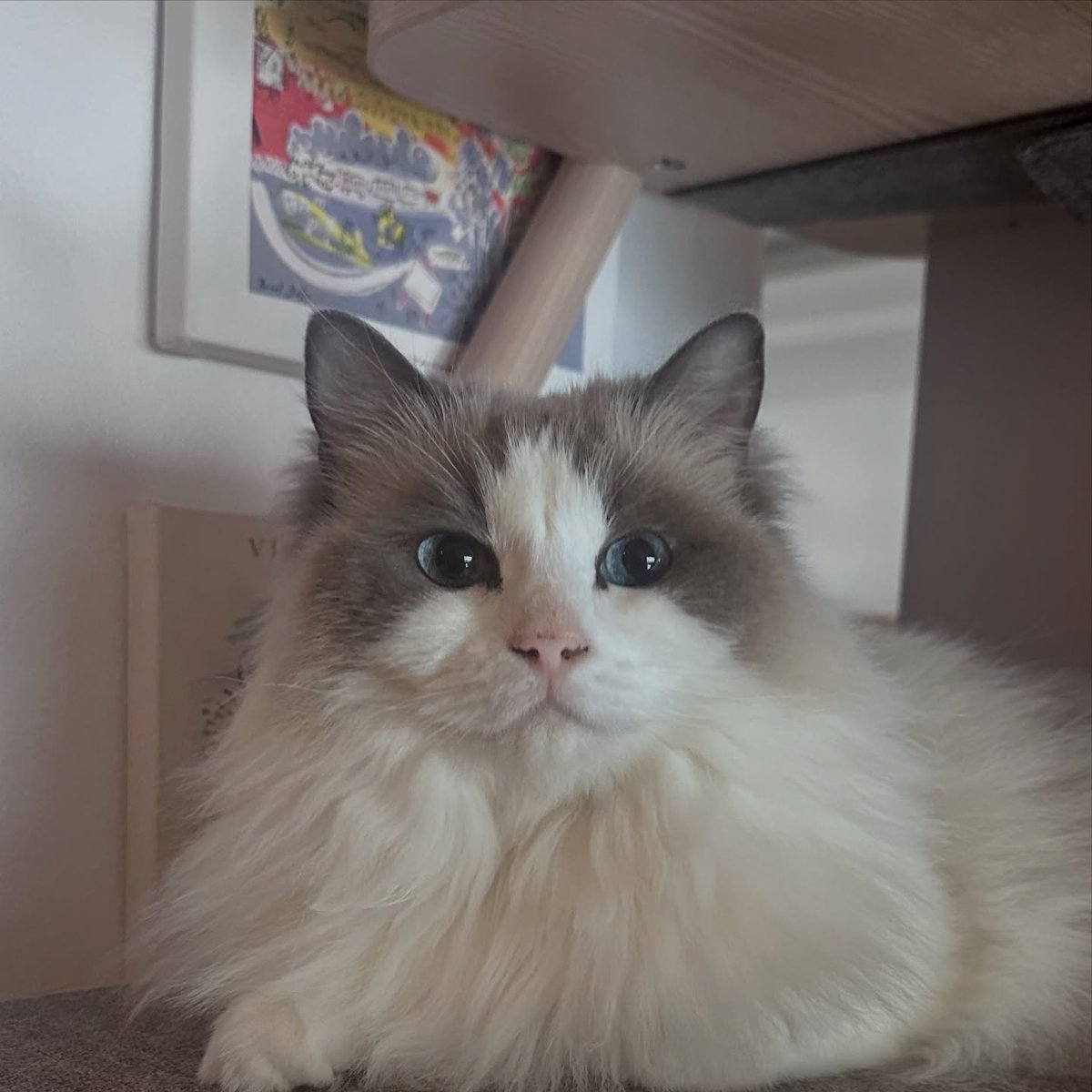 260216 녤스타그램

instagram.com/p/DUzvLQPiaZd

#강다니엘 #KANGDANIEL