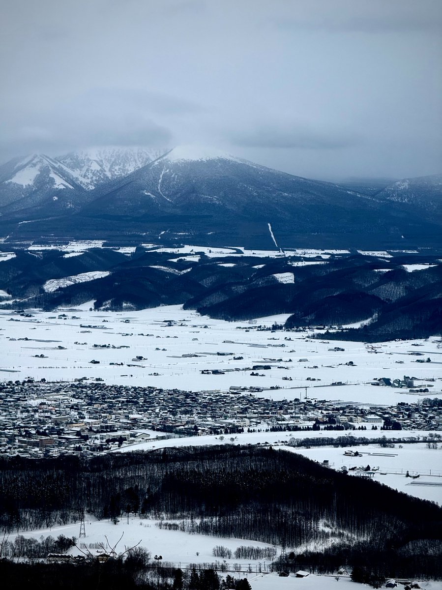 Роман | ロマン tweet media