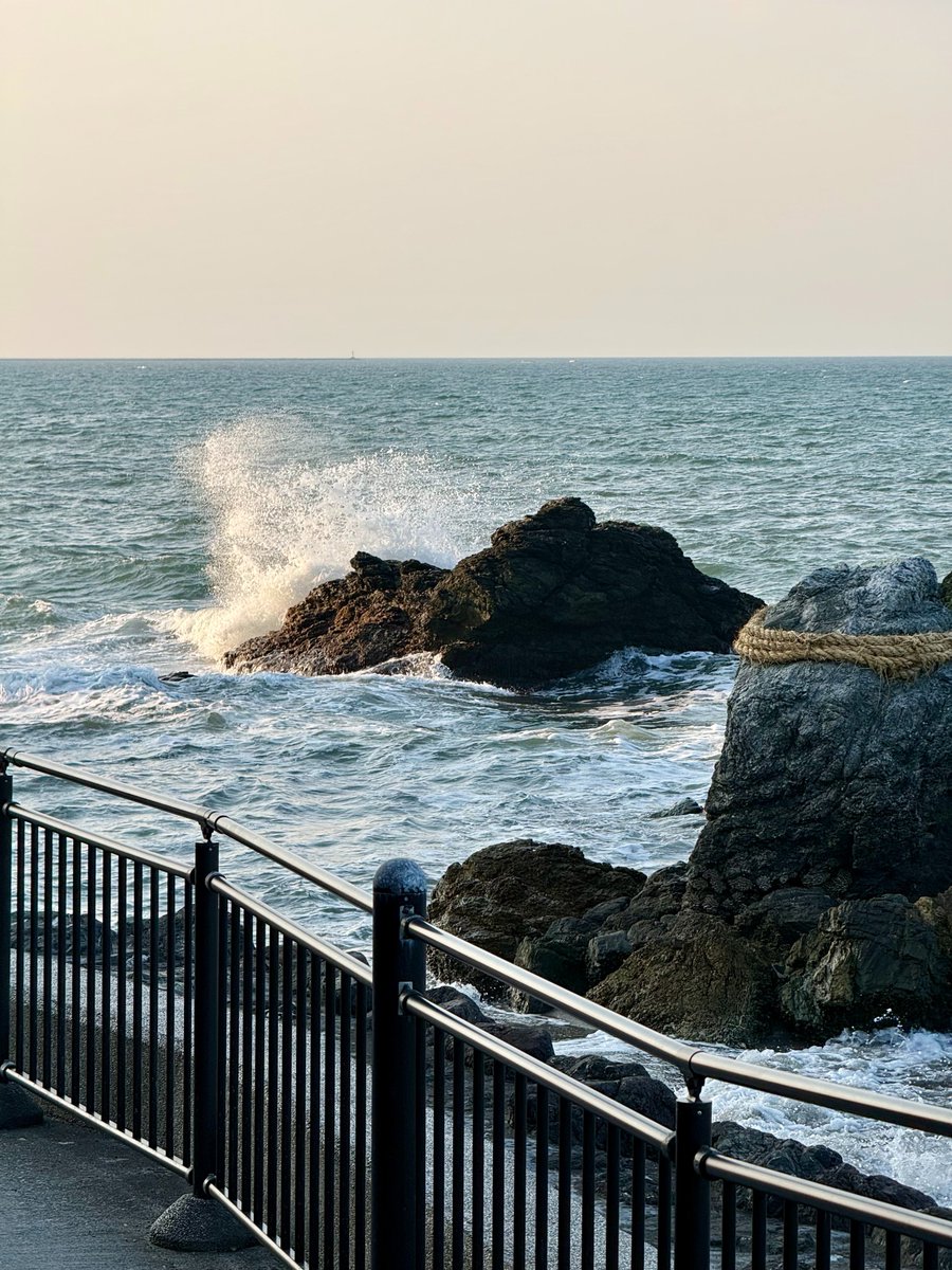 Роман | ロマン tweet media