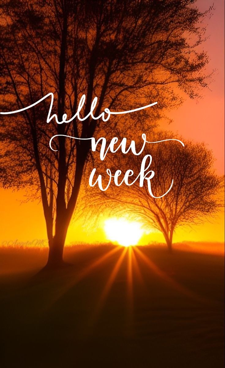 It's Monday‼️✨ 
New week‼️
New blessings‼️✨ 
New opportunities‼️✨ 
Good vibes ONLY‼️ ✨