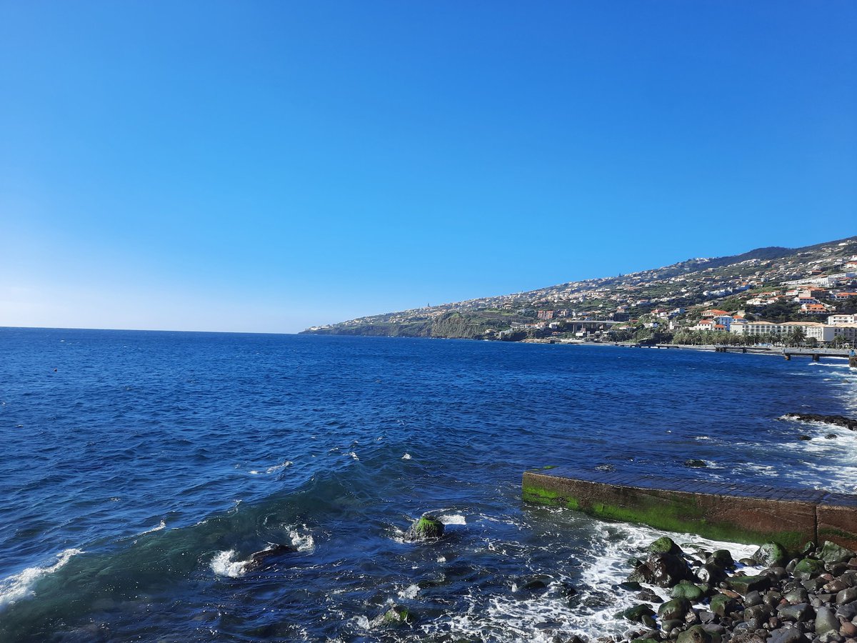 DF93201's tweet photo. #GoodMorningXFriends in both the #5amwritersclub & #earlyrisersclub π It's #MondayMorning but today the #morningcoffee is being enjoyed in #Maderia βοΈππ΅πΉ
Looks like it's another beautiful day ahead for a trip into the Mountains β°οΈ
Have a lovely day people π«Ά https://t.co/djbYsGread