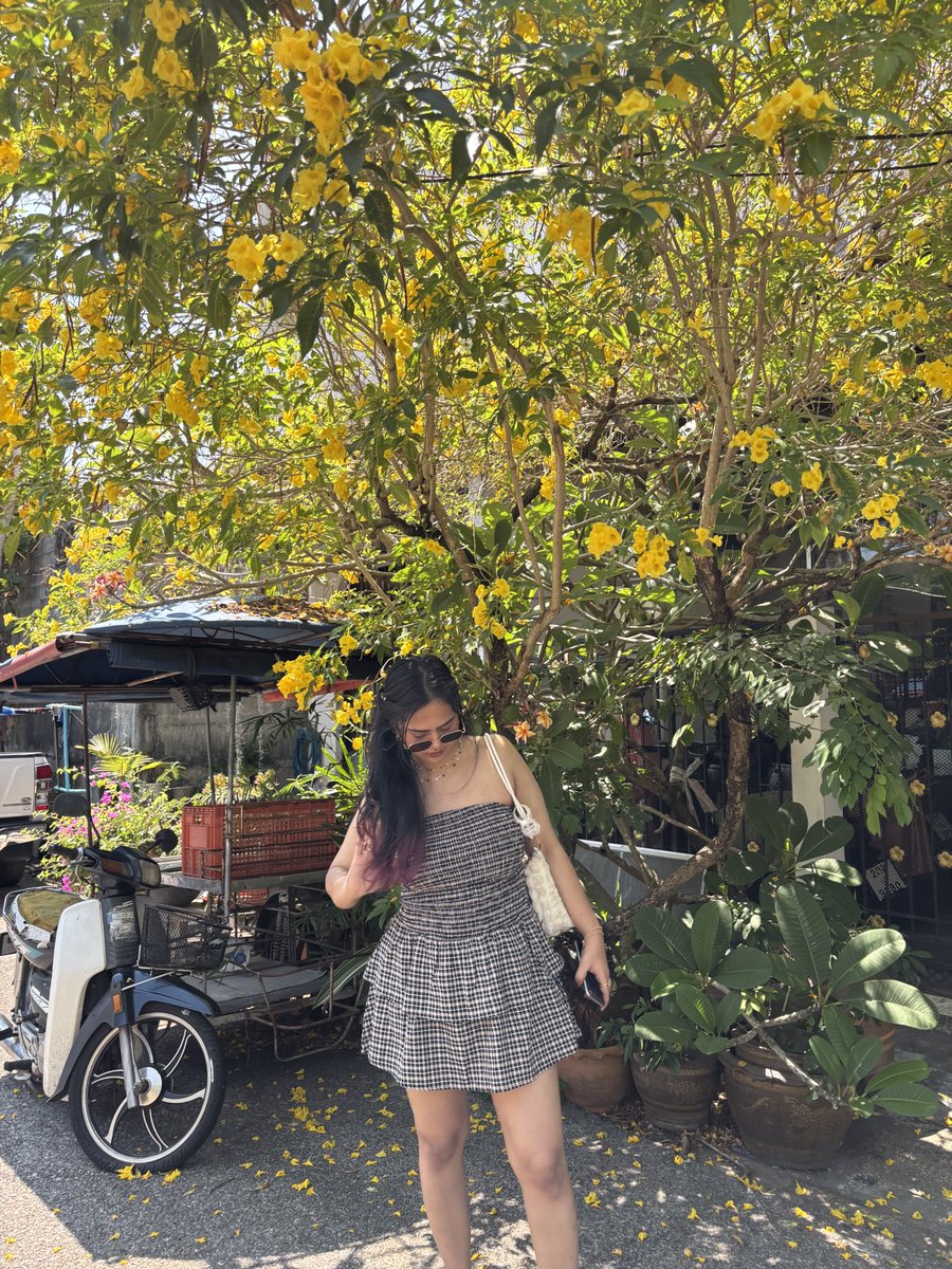 Vidushi Sharma tweet media