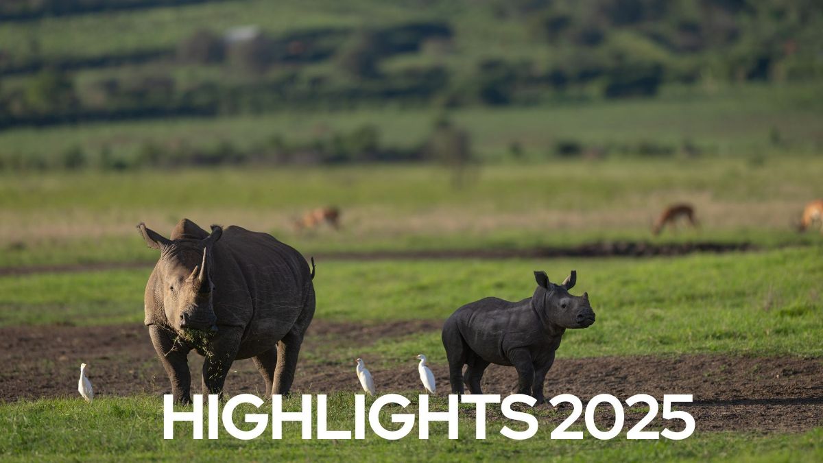 2025 was a year of momentum, resilience, and real impact at Akagera National Park. From conservation wins to community growth and tourism milestones. Thank you for being part of the journey. 
Here are some of our 2025 highlights. - mailchi.mp/african-parks/…