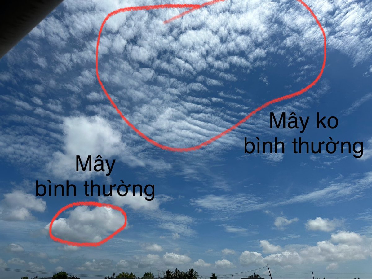 Wind tweet media
