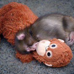 สภาพจิตใจคนไทยเดือนกุมภาพันธ์