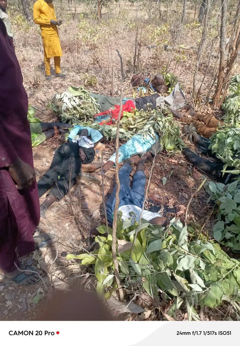 Konkoso village borgu Niger state massacre.... 

farmers rounded up by boko haram (sadiku) terrorists and murdered

YET ALL TINUBU CARES ABOUT IS REELECTION…😢😢😢