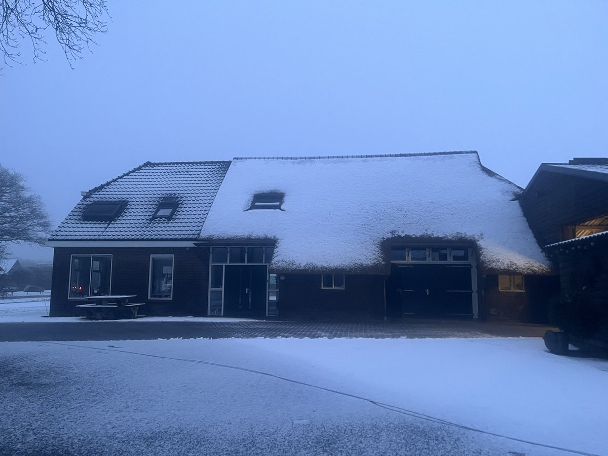 José 👩🏻‍🌾🐮🚜🎂🍰🍪🇳🇱🫖 tweet media