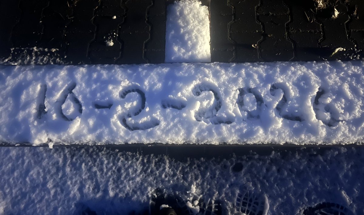 José 👩🏻‍🌾🐮🚜🎂🍰🍪🇳🇱🫖 tweet media