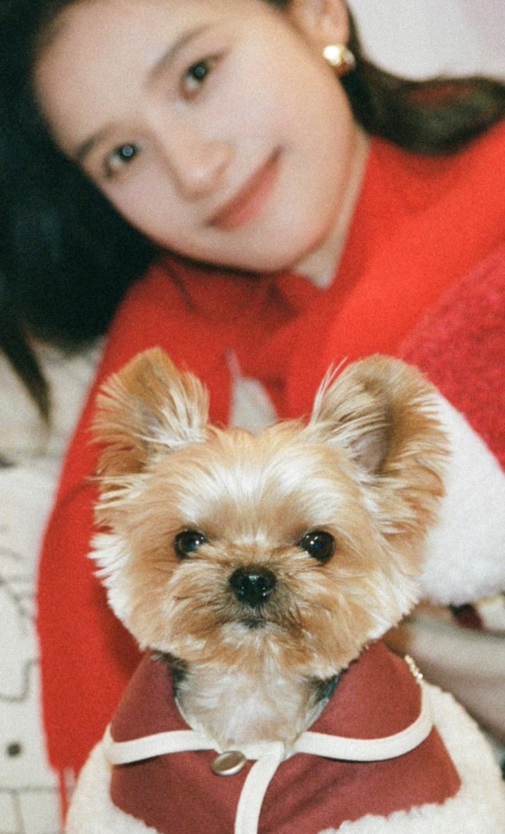Photographer, 贝乐爷, shared more photos of #ZhangJingYi -

"Making dumplings and singing karaoke with Xiao Zhang!
A very festive and relaxing way to capture the spirit of the New Year on film.
Happy Lunar New Year's Eve, everyone! 🎉🎆🧨"

#张婧仪