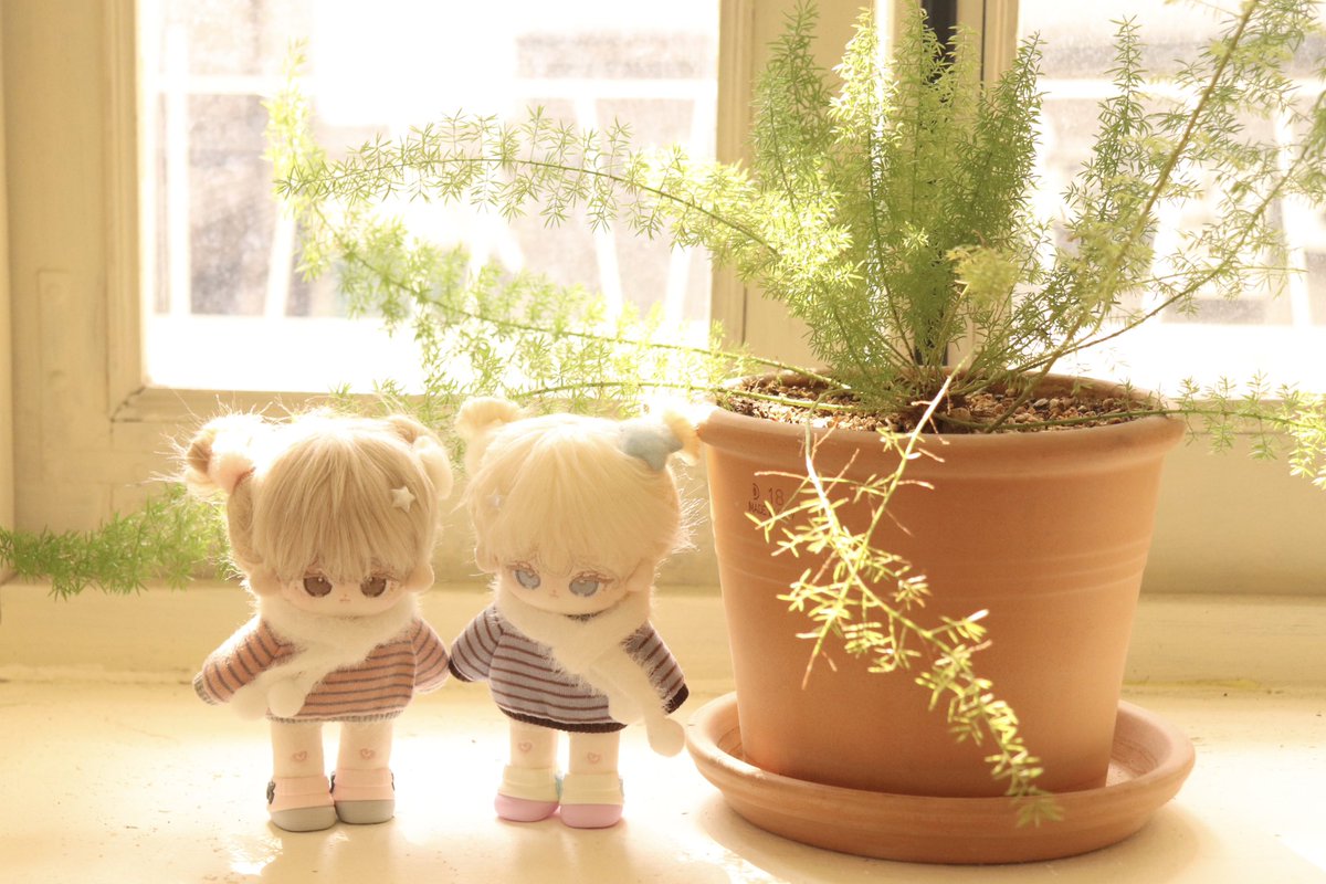 ୨♡୧뱌퓨୨♡୧ 𝘀𝗹𝗼𝘄❄️ tweet media