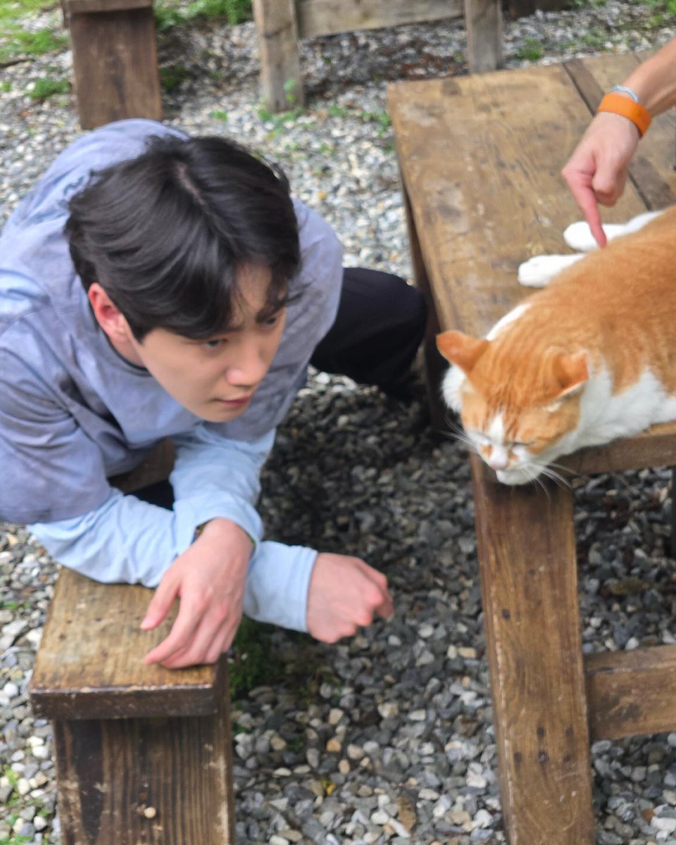 주냥이와 고양이님 투샷 난 진짜 정말 너무 좋은데 알레르기 있다고 하지 않았나 혹시🥺