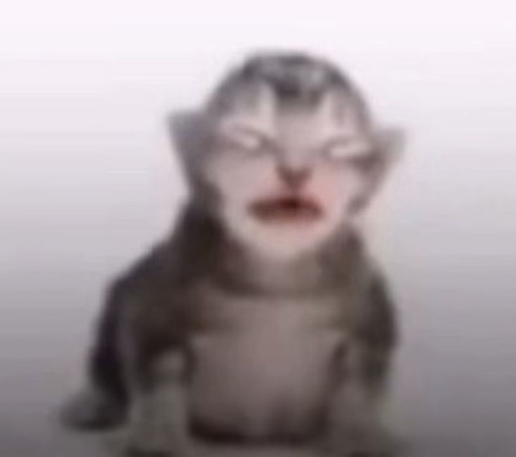 el fan de 5491134562904 cuando le echo waska en los ojos