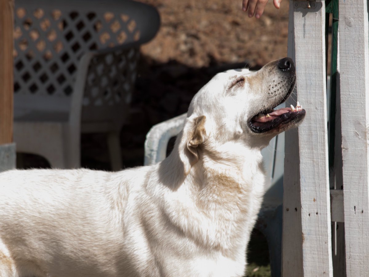 Hoy saldrá ya el sol y recordando esta foto de Ragnar, todos seremos Ragnar🌞
