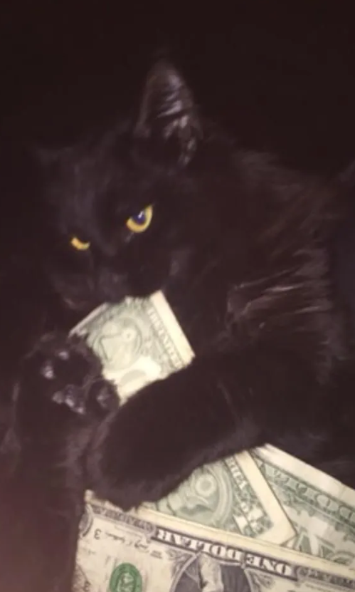 Gm (Get money) 

It's mogging time 🌆