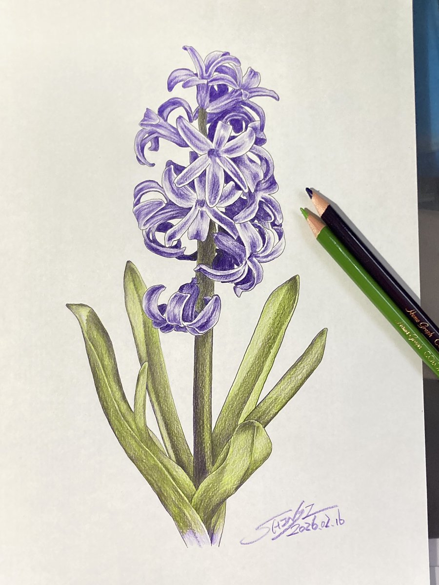 シン🐈‍⬛🐾 (@shin_iroenpitsu) / Posts / X