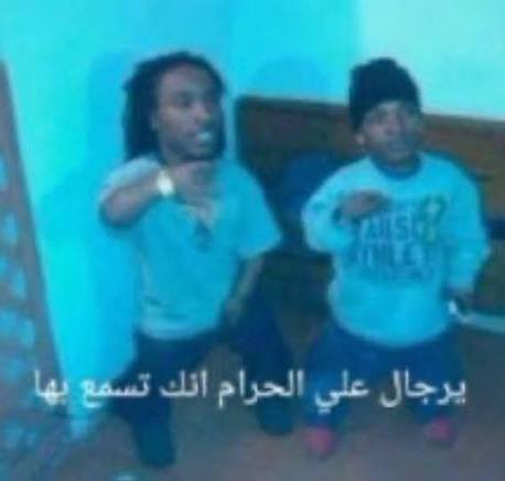 كناري في البراري tweet media