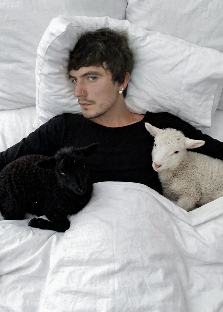 DIMITRII ANISIMOV tweet media