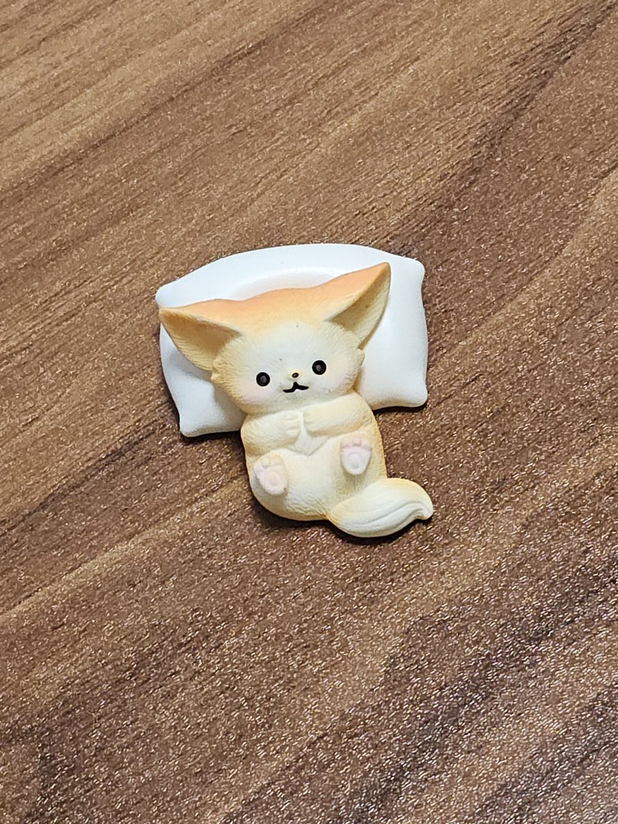 너부리중인 사막여우🦊