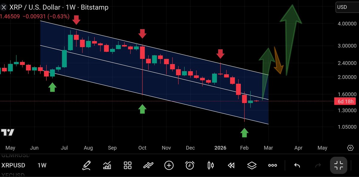 XRP CAPTAIN tweet media