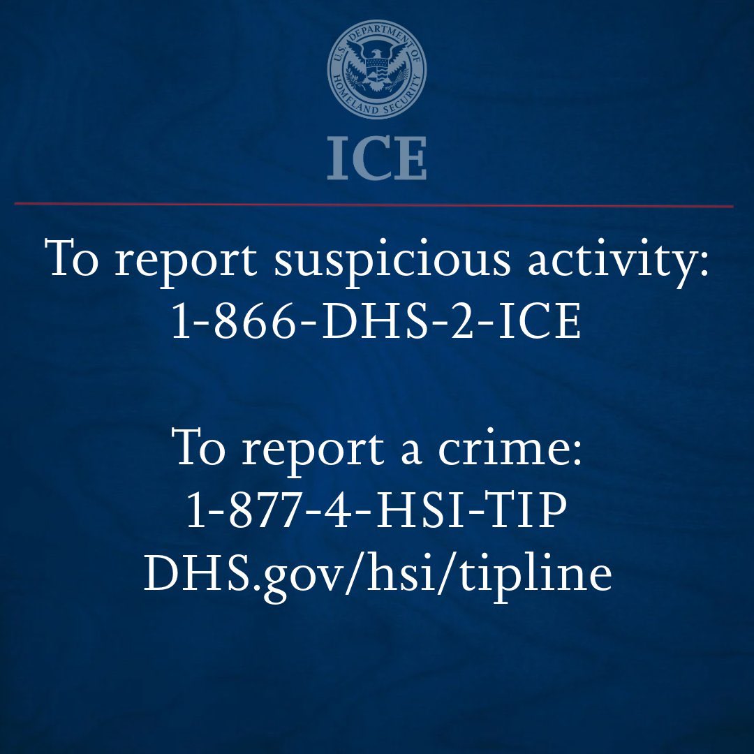 GoalOriented02's tweet image. Targeting Foundational Black American Freedmen online is domestic terrorism &amp;amp; a civil rights violation. It's also grounds for DEPORTATION. Attacking Foundational Black American lineage, politics or culture is a crime - Mike Baggz info source👍🏿How To Report It👇🏿 #FBA #Delineation