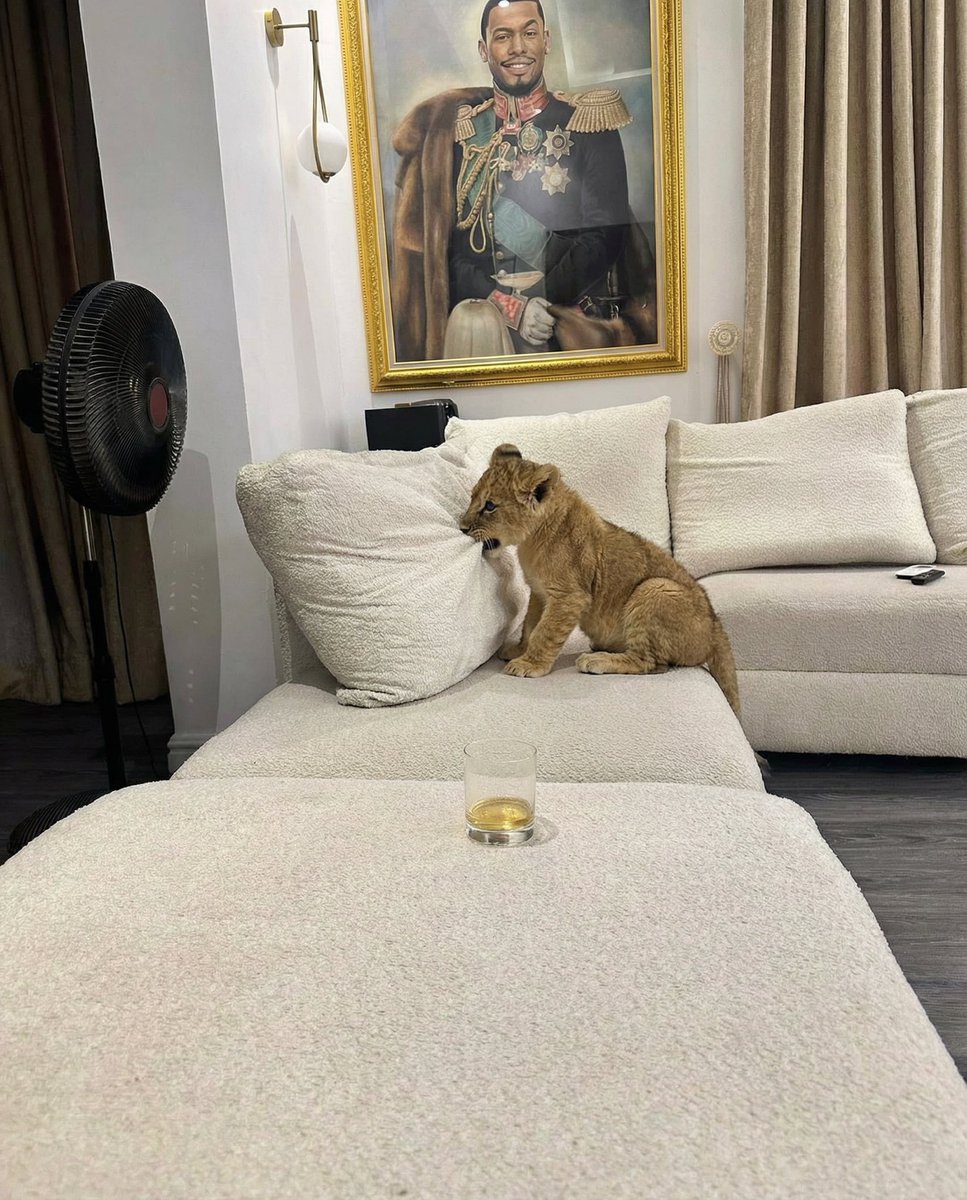 Ekitipikin's tweet image. I’m considering sending LEO back to his source before month-end. His growing aggression is a concern, and I’m not pleased about it.