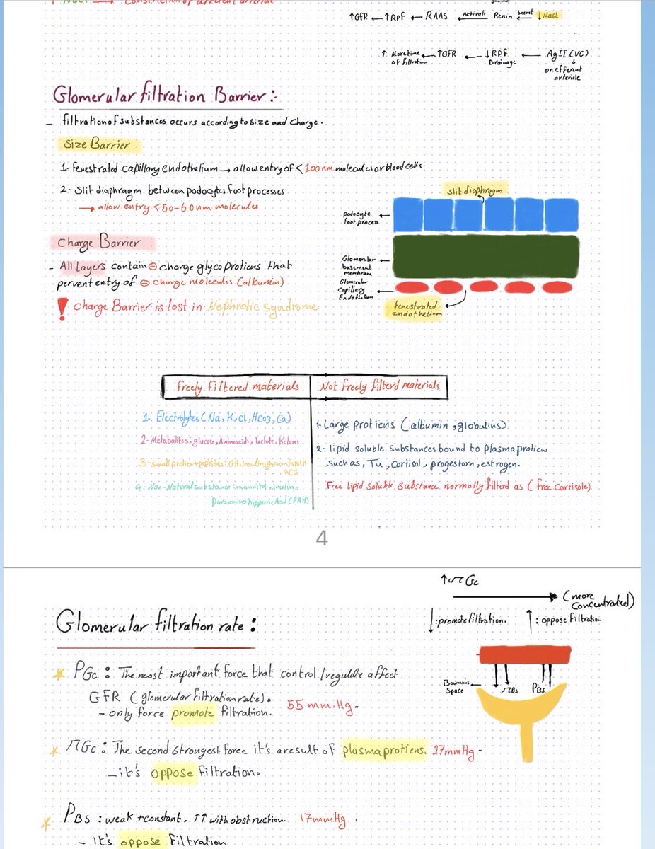 DrVisualnotes's tweet photo. @ManualOMedicine Great overview! 🩺 To understand Acute Renal Failure, it helps to visualize the Glomerular Filtration Barrier. 🎨
I made these visual notes for Step 1 students. Hope they help! ✨
#MedEd #USMLE #MedTwitter" https://t.co/1OVcTTHWpV