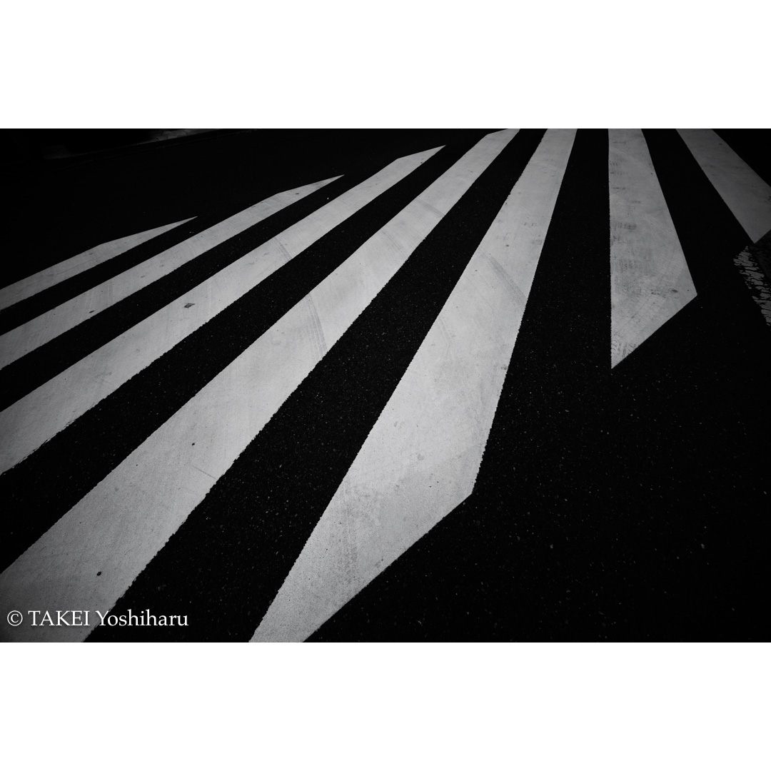 takeiyosh's tweet photo. 横断歩道の白線
White lines on pedestrian crossings

#横断歩道 #白線
#whitelines #pedestriancrossing 
#blackwhitephotography #canon https://t.co/LVlVLdaHFM