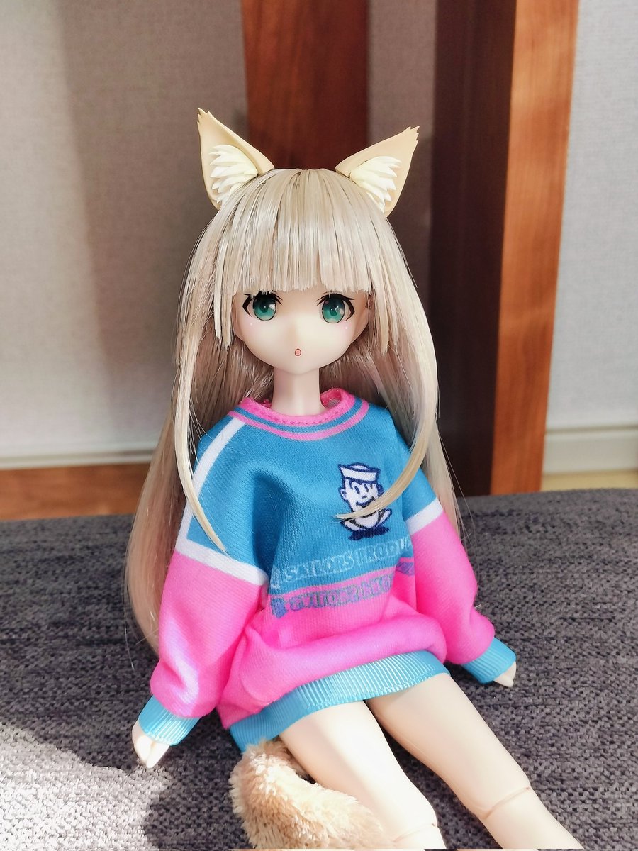 きなこちゃんもくじのトレーナー着られました🐱✨