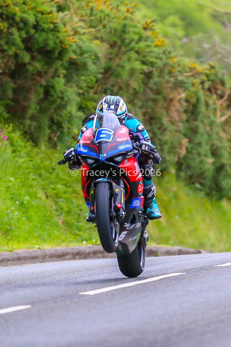 Tracey Harrison tweet media